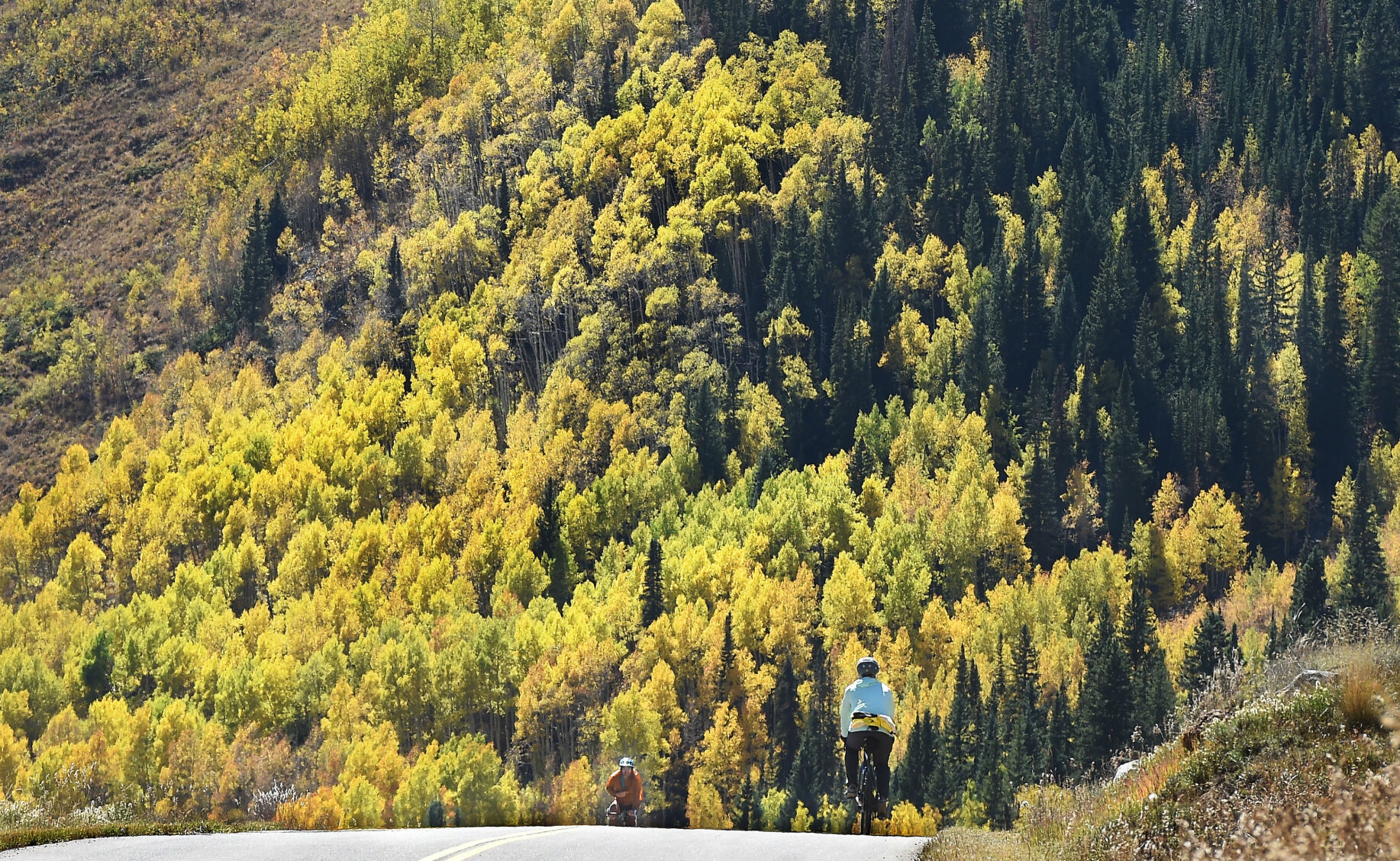 092821-news-aspens 02.JPG